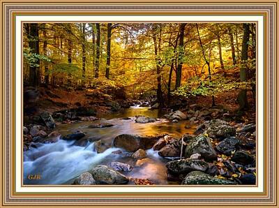 Wild And Wacky Portraits Rights Managed Images - Autumn Forest Creek Near Blairforesthurst L A S. With Printed Frame. Royalty-Free Image by Gert J Rheeders