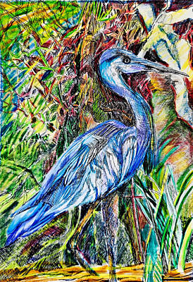 Landscapes Drawings - Blue Heron by Mindy Newman