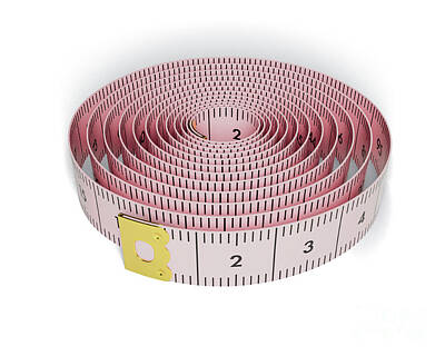 Lucille Ball - Coiled Measuring Tape by Allan Swart