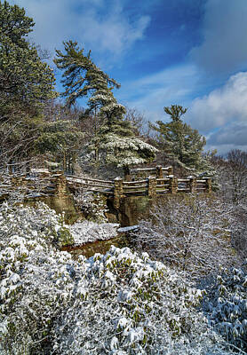 Holiday Cookies Royalty Free Images - Coopers Rock overlook covered in winter snow near Morgantown Royalty-Free Image by Steven Heap