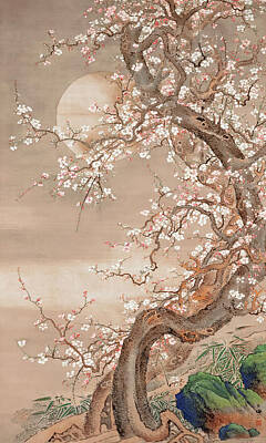 Royalty-Free and Rights-Managed Images - Japanese plum blossoms in moonlight by So Shizan
