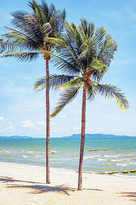 Royalty-Free and Rights-Managed Images -  Jomtien Beach  by Manjik Pictures