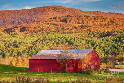 Animal Watercolors Juan Bosco - New England red barn by Don Landwehrle