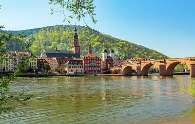 Beach House Shell Fish - Old bridge into town of Heidelberg Germany by Steven Heap