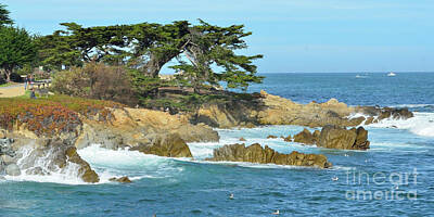 Autumn Leaves - Pacific Grove by Yinguo Huang