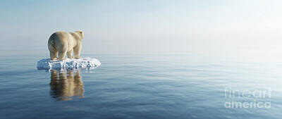 Christmas Typography - Polar bear on ice floe. Melting iceberg and global warming. by Michal Bednarek
