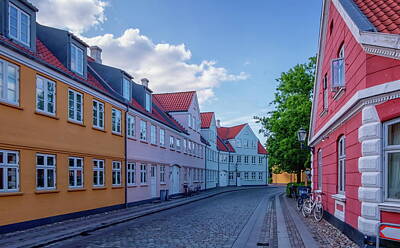 Going Green - Street in medieval city of Ribe, Denmark by Elenarts - Elena Duvernay photo