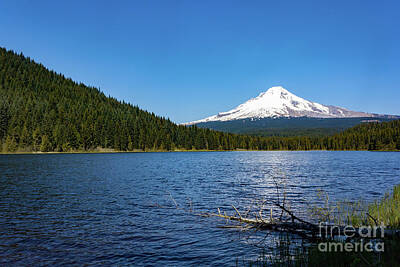 Vintage Baseball Players Rights Managed Images - Trillium Lake Royalty-Free Image by Danaan Andrew
