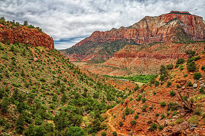 Jazz Collection Royalty Free Images - Watchman Trail View Zion National Park Royalty-Free Image by Gestalt Imagery