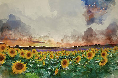Sunflowers Digital Art - Watercolor painting of Sunflower Summer Sunset landscape with bl by Matthew Gibson
