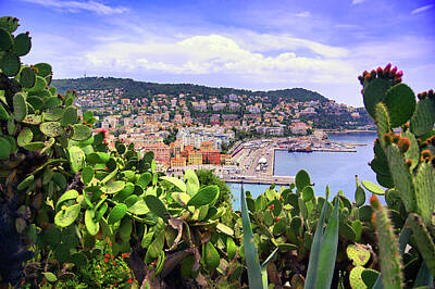 Rose - Port of Nice, France by James Byard