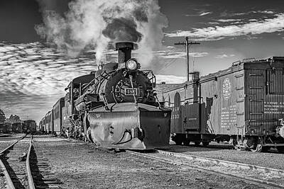 Music Baby - cumbres and Toltec Narrow Gauge Railroad Chama New Mexico Yard by Gestalt Imagery