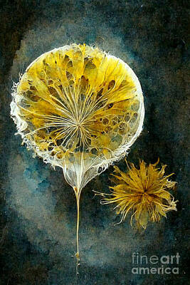 Abstract Flowers Digital Art Royalty Free Images - Dandelion abstract Royalty-Free Image by Sabantha