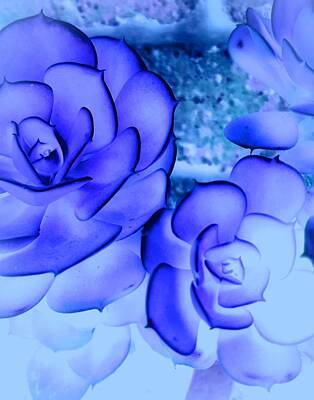 Roses Digital Art - Desert Roses by Loraine Yaffe