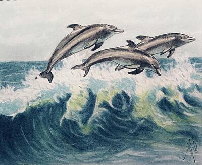 Beach Mixed Media - 3 Dolphins  by Melvin Royster