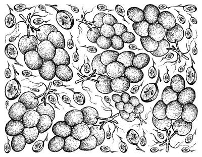 Wine Drawings - Hand Drawing Background of Fresh Juicy Red Grapes by Iam Nee