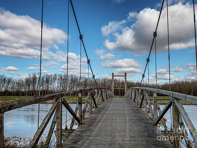 Patriotic Signs - Kong Hans suspension  bridge in Skjern meadows Ringkoebing, Denm by Frank Bach