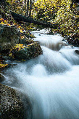 New York Magazine Covers Royalty Free Images - Mountain stream in Corsica Royalty-Free Image by Jon Ingall