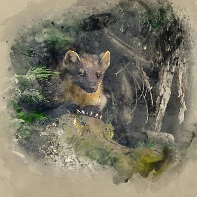 Abtracts Laura Leinsvencner - Watercolor painting of Stunning pine martin martes martes on bra by Matthew Gibson