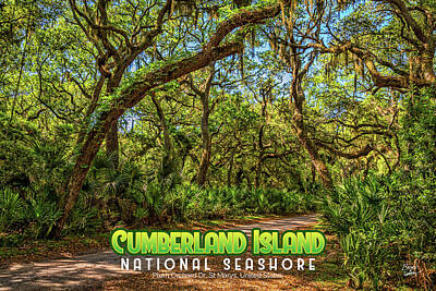 Abstract Works - Cumberland Island National Seashore by Gestalt Imagery