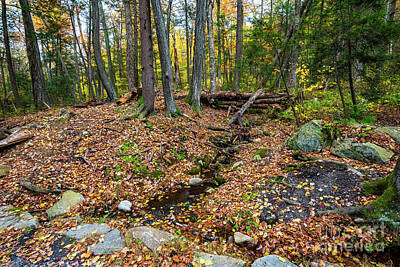 Trick Or Treat - Appalachian Autumn by Stef Ko