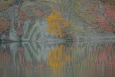 Ethereal - Fall colors by Andrew Dallos