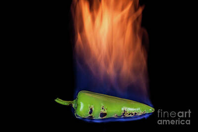 Catch Of The Day - Green pepper on fire by Nikolay Stoimenov
