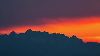 Rabbit Marcus The Great - Julian Alps sunset by Ian Middleton