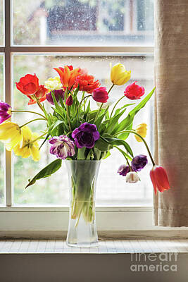 Hearts In Every Form Royalty Free Images - Multicolored tulips in a vase, Royalty-Free Image by Beautiful Things