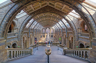 Everett Collection - Natural History Museum in London, UK by James Byard