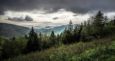 Impressionist Landscapes - Springtime at Scenic Blue Ridge Parkway Appalachians Smoky mount by Alex Grichenko