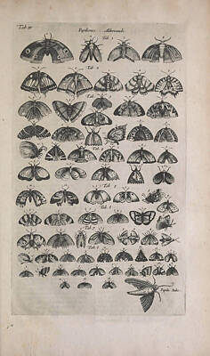 Shaken Or Stirred - Historiae naturalis de quadrupedibus libri cum aeneis figuris by Jonstonus Joannes by Artistic Rifki