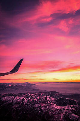 Cactus - Flying Over Rockies In Airplane From Salt Lake City At Sunset by Alex Grichenko