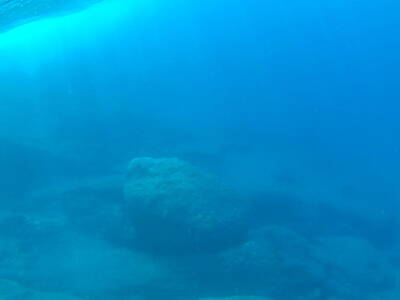 Marvelous Marble - GiannisXenos Underwater Photography by GiannisXenos Underwater Photography