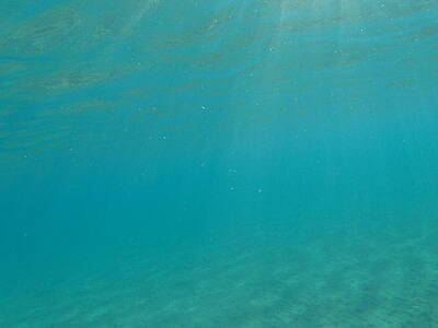 Beach Days - GiannisXenos Underwater Photography by GiannisXenos Underwater Photography
