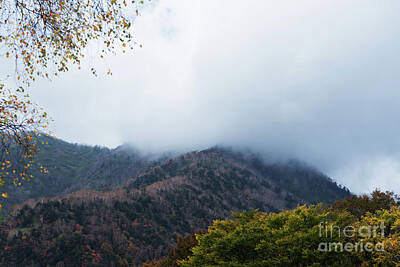 Thomas Moran Royalty Free Images - Fall colors of Nikko Japan Royalty-Free Image by Kiran Joshi