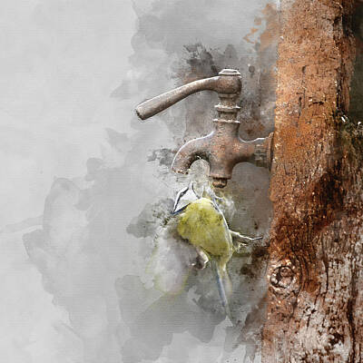 Birds Royalty Free Images - Digital watercolor painting of Image of Blue Tit bird Cyanistes  Royalty-Free Image by Matthew Gibson