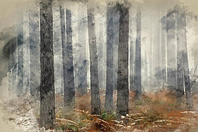 Animal Watercolors Juan Bosco - Digital watercolour painting of Pine forest Autumn Fall landscap by Matthew Gibson