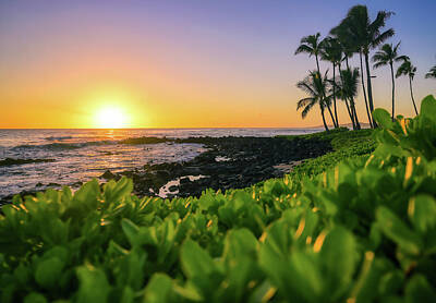 Circle Abstracts - Sunset over the coast of Kauai, Hawaii by James Byard