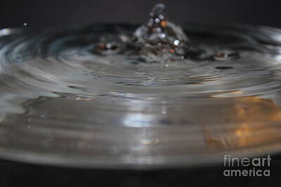 Easter Bunny - Water Drop Photograhpy by David King