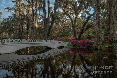 The Female Body Royalty Free Images - Southern Trails around Magnolia Plantation  Royalty-Free Image by Dale Powell