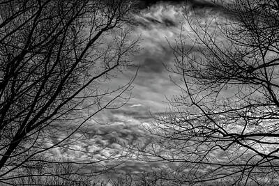 Movie Tees - Clouds and Trees Just Before Sunset by Robert Ullmann