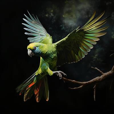 Green Grass - Carolina Parakeet by Daniel Moise