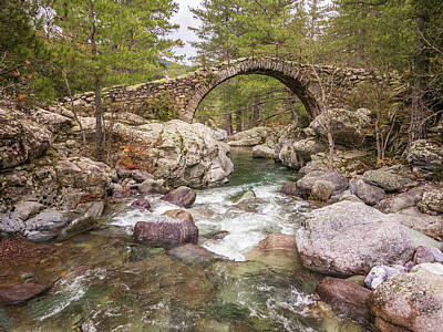 Design Turnpike Books Rights Managed Images - Genoese bridge over Tartagine river in Corsica Royalty-Free Image by Jon Ingall