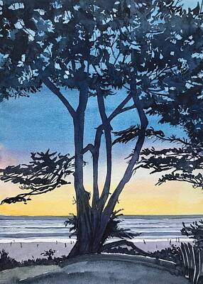 Painted Liquor - A Favourite Tree - Scenic Drive - Carmel  by Luisa Millicent