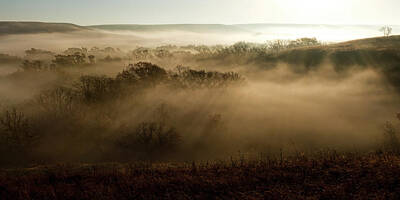 Scott Bean Rights Managed Images - A Foggy Morning Royalty-Free Image by Scott Bean