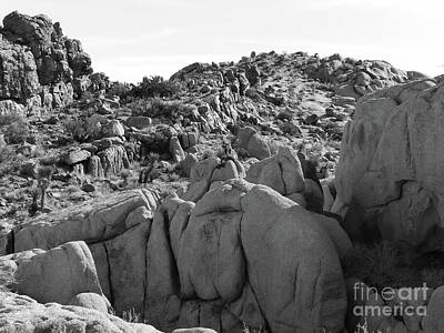 Modern Sophistication Minimalist Abstract - A Girl on Rocks BW by Connie Sloan