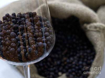 Home For The Holidays Rights Managed Images - A Glass Goblet Full Of Juniper Berries Royalty-Free Image by Ivan Savini