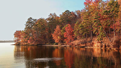 Negative Space Royalty Free Images - A Lake Sinclair Coastal Autumn Royalty-Free Image by Ed Williams
