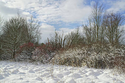 Wild Weather - A Michigan Snowy Scene by Kathi Mirto